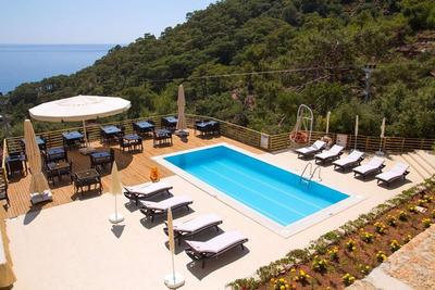 Tree House Kabak
