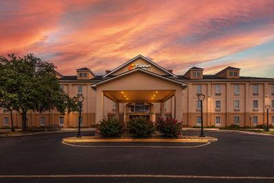 Comfort Inn Lafayette North I 10
