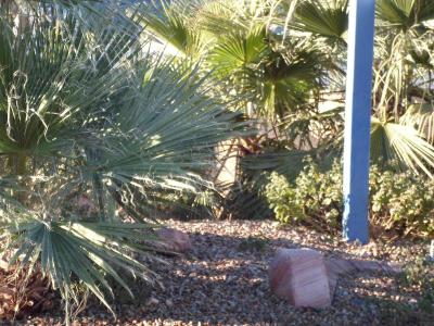 Motel 6 Las Vegas Strip