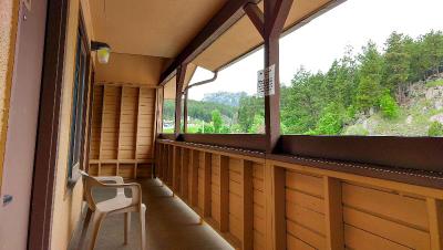 Magnuson Grand Rushmore View