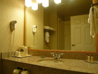 Wingate By Wyndham Streetsboro/Cleveland Southeas