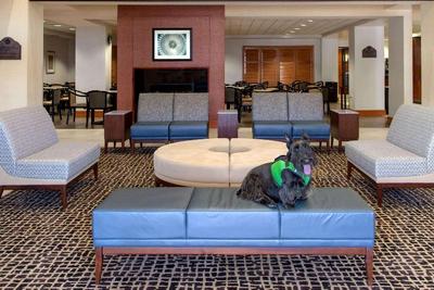 Wingate By Wyndham Chantilly / Dulles Airport