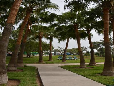 Valeria Les Jardins D´Agadir
