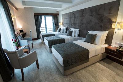 Elite Hotel Darıca SPA & Convention Center