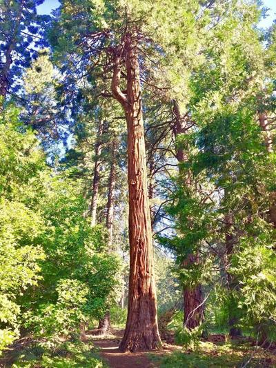 Club Tahoe