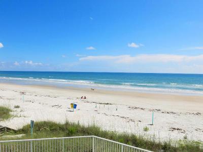 New Smyrna Waves