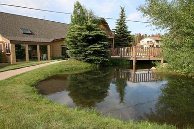 Swan Mountain Resort