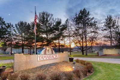 Tamarack Wisconsin Dells A Ramada by Wyndham