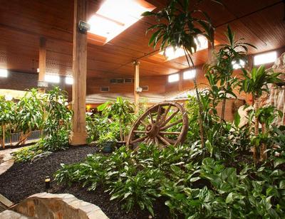 BEST WESTERN PREMIER Ashton Suites-Willowbrook