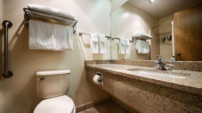 BEST WESTERN PREMIER Ashton Suites-Willowbrook