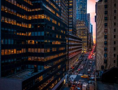 The Bernic New York City Tapestry Col by Hilton