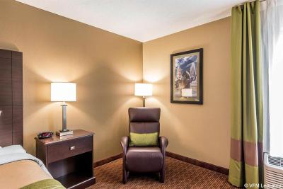 Comfort Inn at Worlds & Oceans of Fun
