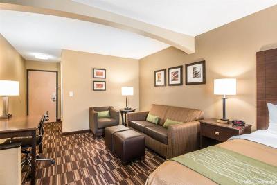Comfort Inn at Worlds & Oceans of Fun