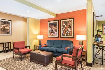 Comfort Inn at Worlds & Oceans of Fun