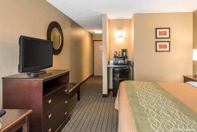 Comfort Inn at Worlds & Oceans of Fun