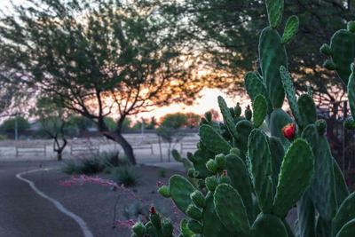 Bluegreen Vacations Cibola Vista Resort and Spa