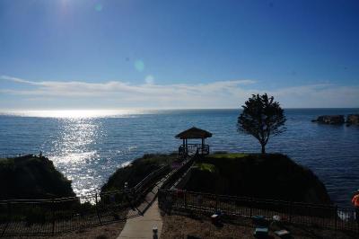 Inn At The Cove