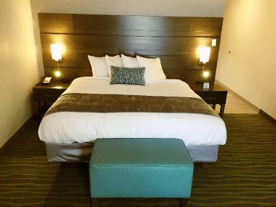BW Plus Prien Lake Hotel & Suites-Lake Charles