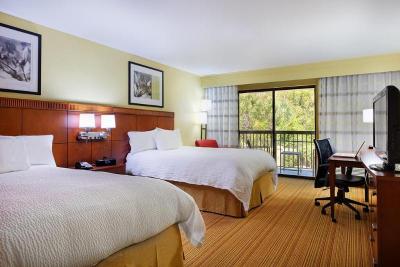 Courtyard Tampa North/I-75 Fletcher