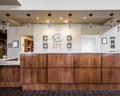 Comfort Suites Woodland Sacramento Airport