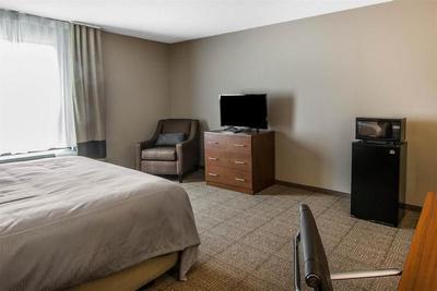 Comfort Inn South Chesterfield - Colonial Heights