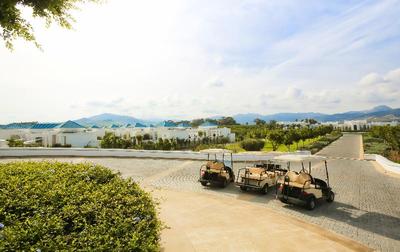 Banyan Tree Tamouda Bay