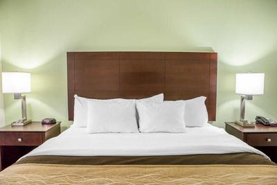Comfort Inn Lexington South