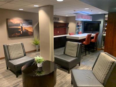 Holiday Inn & Suites Duluth-Downtown