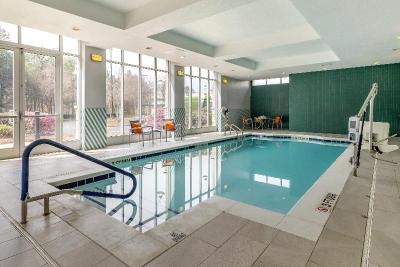 Holiday Inn Atlanta-Gas South Arena Area
