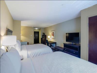 Comfort Suites Mobile-South Alabama University Are