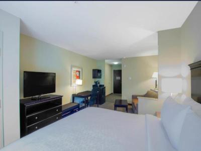 Comfort Suites Mobile-South Alabama University Are
