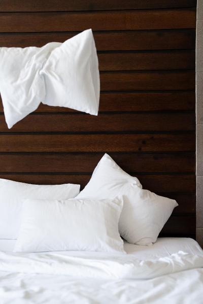 No 81 Hotel