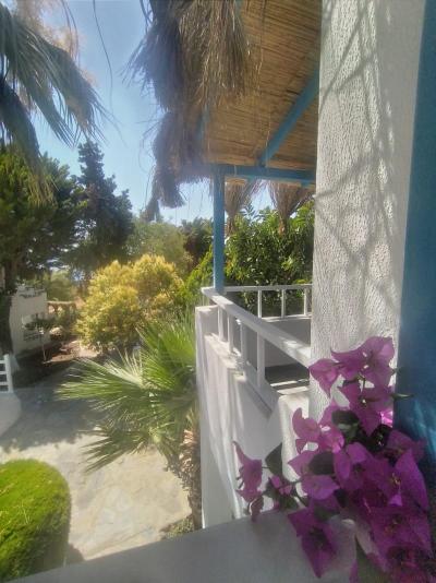 Misket Hotel Bodrum