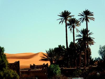La Vallee Des Dunes