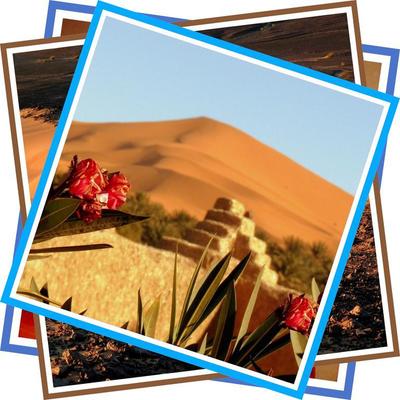 La Vallee Des Dunes