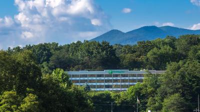 Holiday Inn Asheville Biltmore East