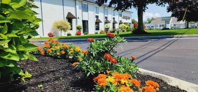 Ambassador Inn Suites
