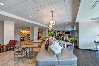Home2 Suites Tampa Usf Near Busch Gardens