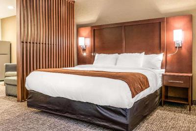 Comfort Suites Florence - Cincinnati South
