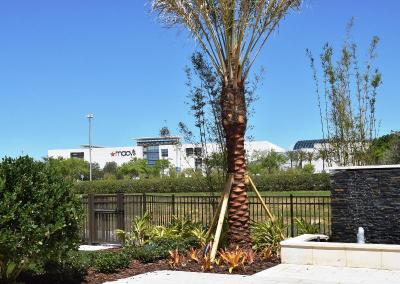Residence Inn Orlando at Millenia