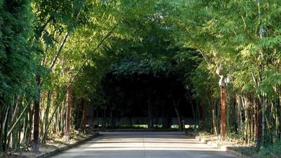 Bamboori Boutique Resort Chiang Mai