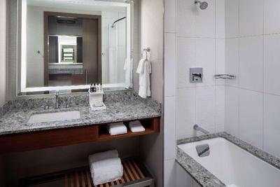 Hilton Rochester Mayo Clinic Area