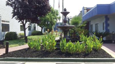 SureStay Plus Hotel by BW Sacramento Cal Expo
