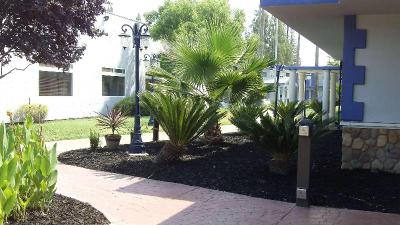 SureStay Plus Hotel by BW Sacramento Cal Expo