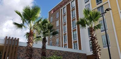 Hilton Garden Inn Tampa-Wesley Chapel