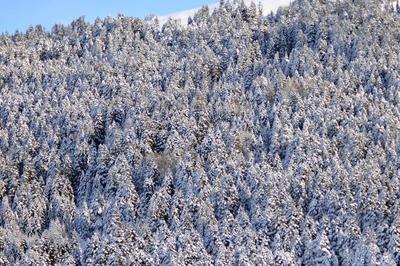 Bof Hotels Uludag Ski & Convention Resort