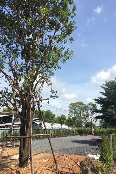 Bangkok Boutique Resort