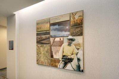 Fairfield Inn & Suites Tampa Wesley Chapel