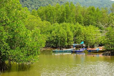 Amantra Lake View Resort
