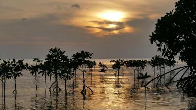 Amantra Lake View Resort